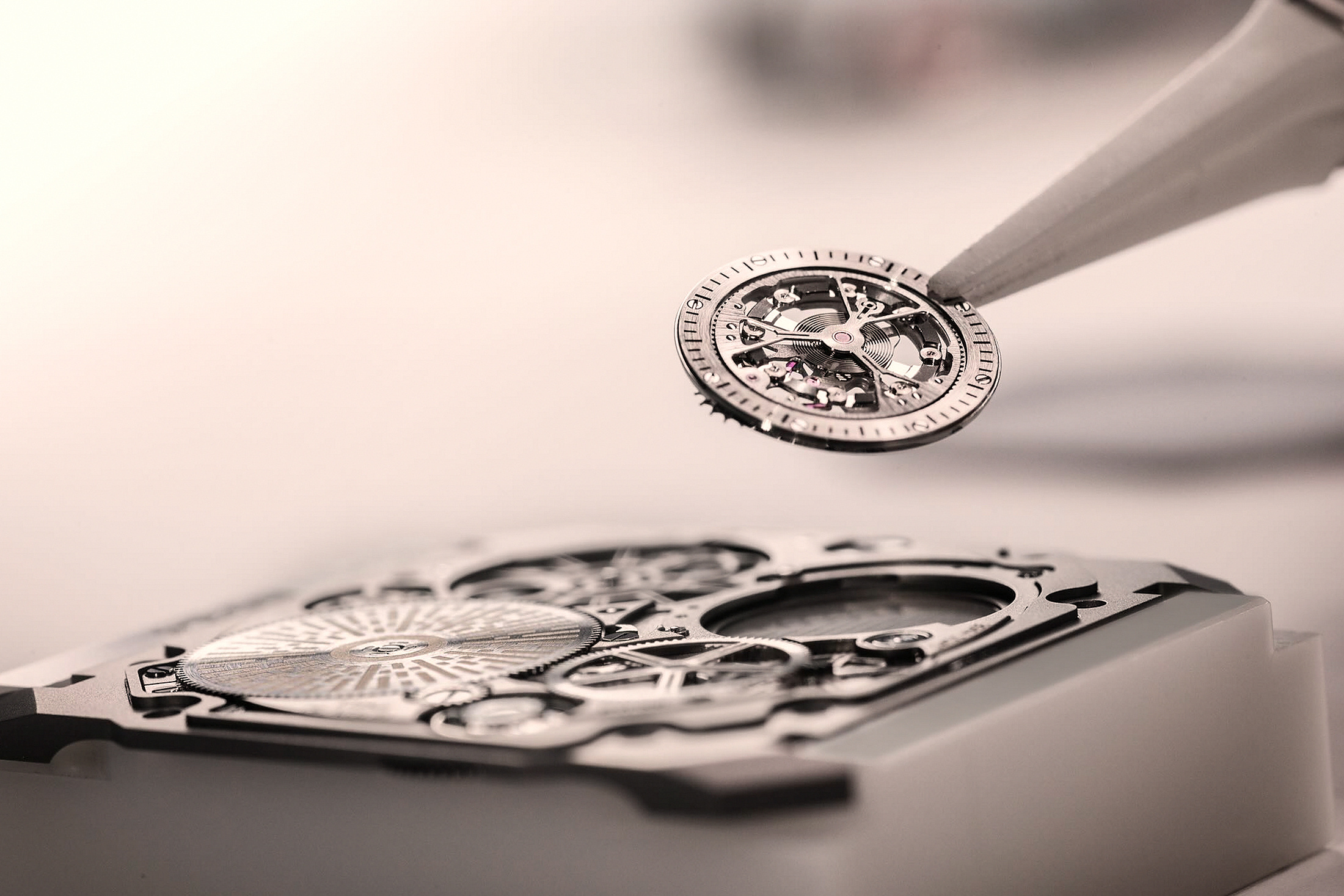 Клетка Турбийона