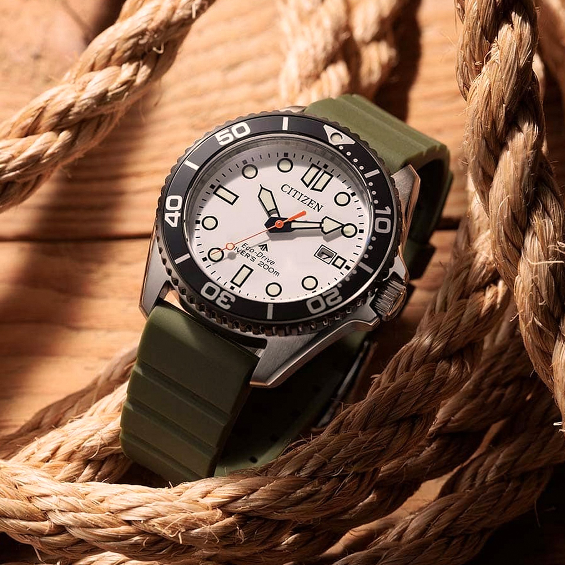 Citizen Promaster