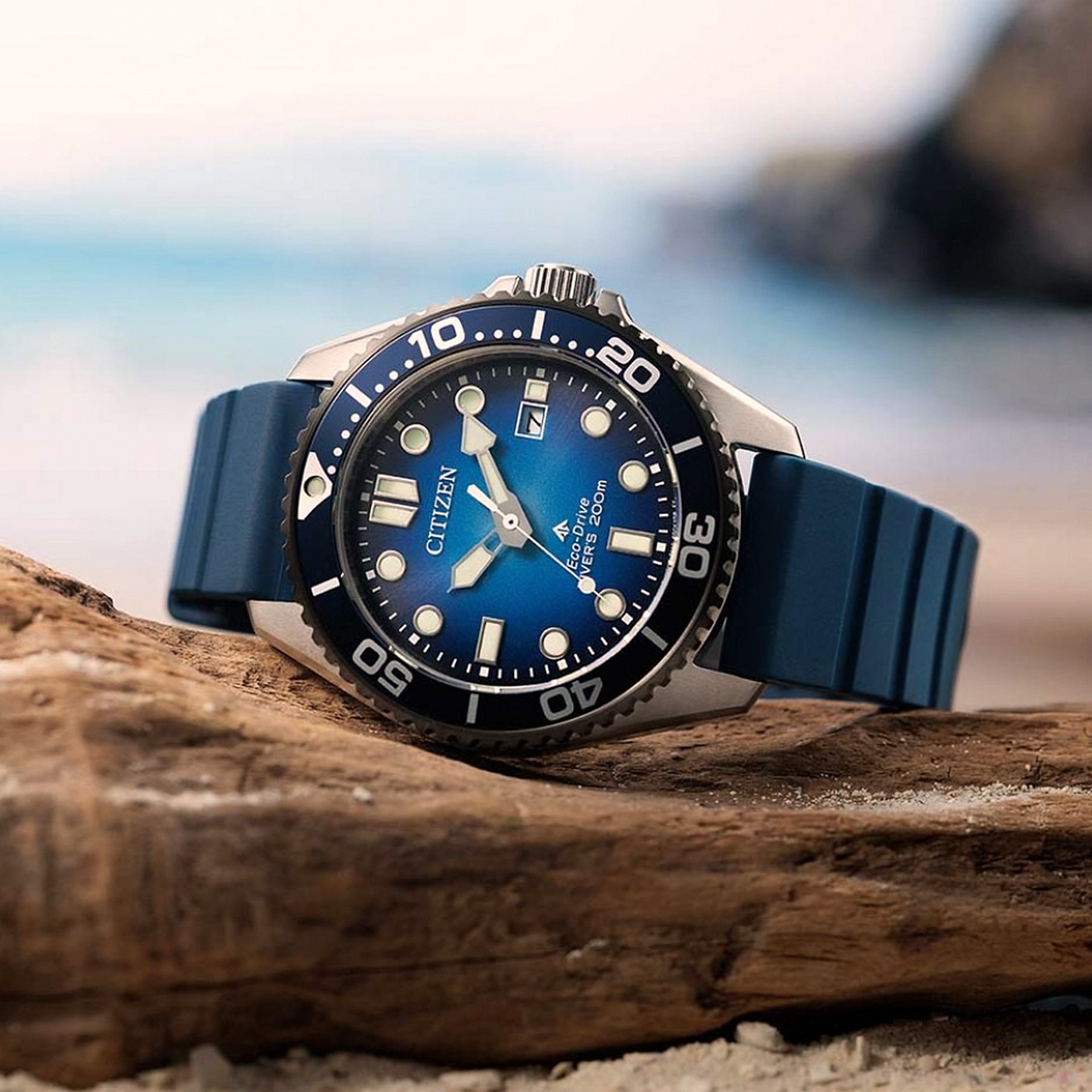 Citizen Promaster