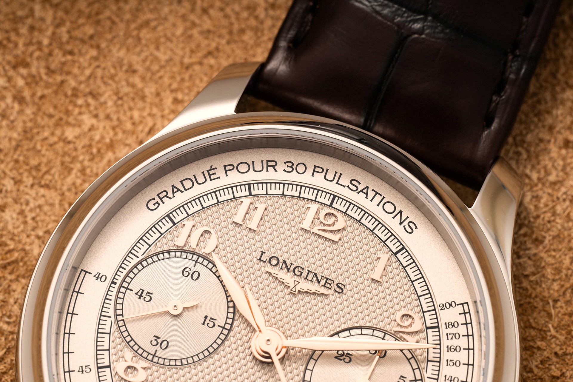 Longines Master Collection Monopusher Silver Pulsations Closeup