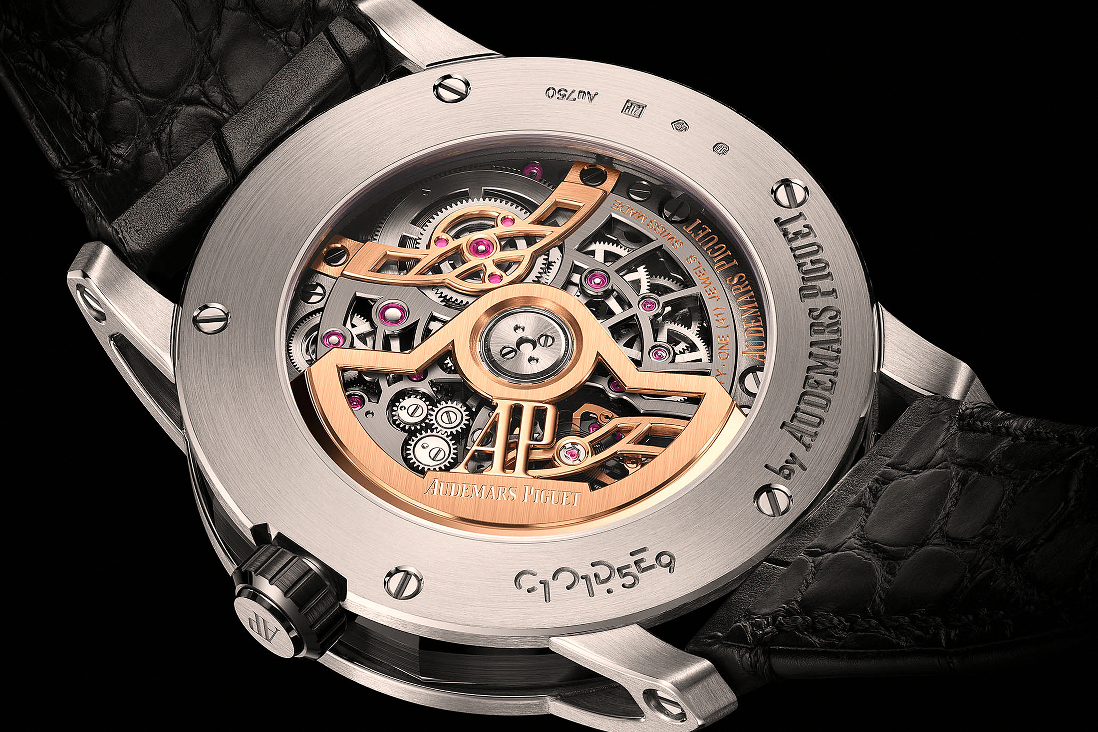 QP Caseback